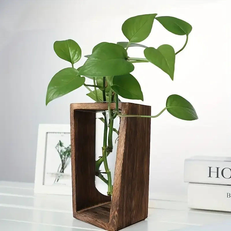 Modern Wood & Glass Propagation Vase – Minimalist Hydroponic Planter Propagation Vase PLUSH