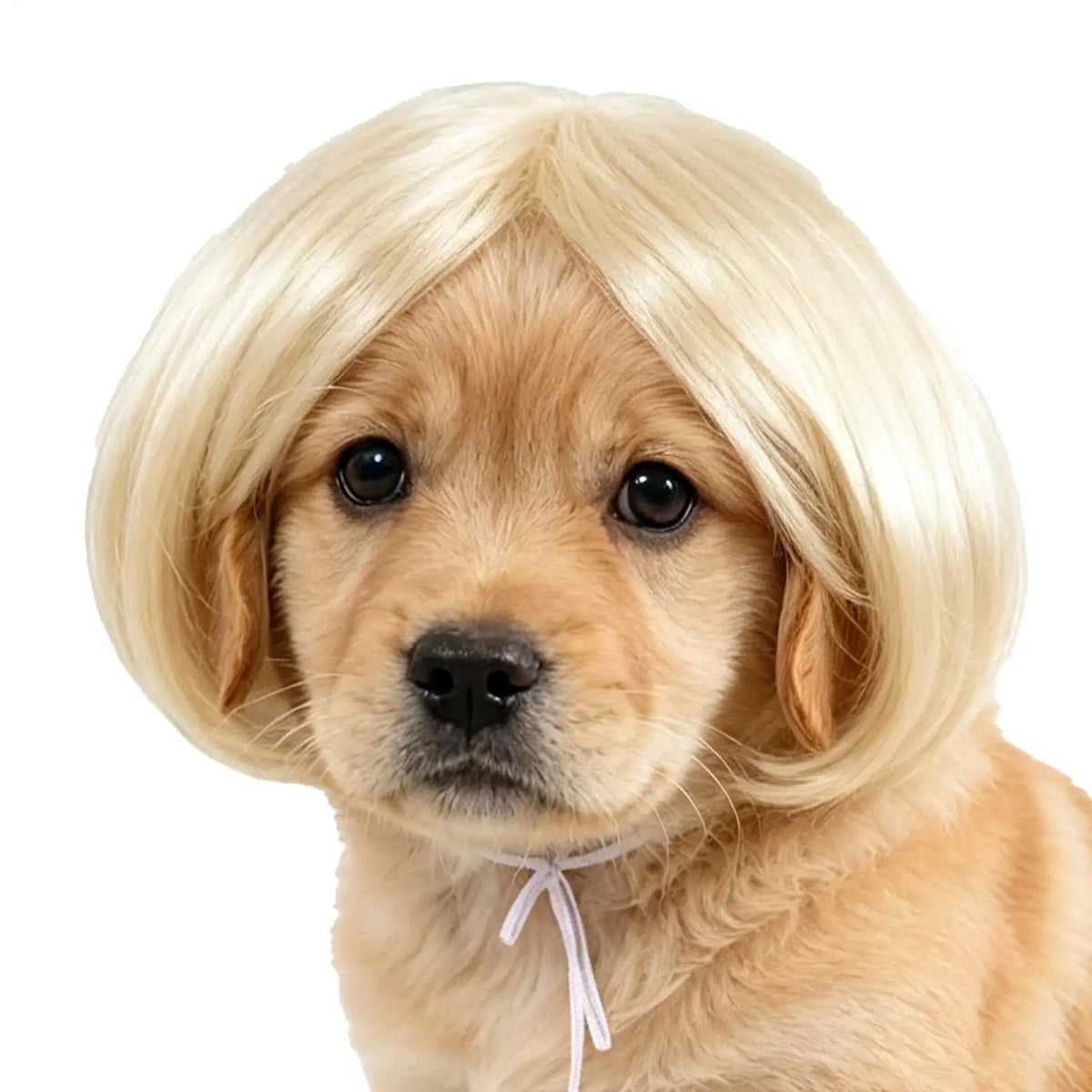 Funny Pet Wig for Dogs & Cats – DIY Halloween Costume Wig Pet Costume Wig PLUSH