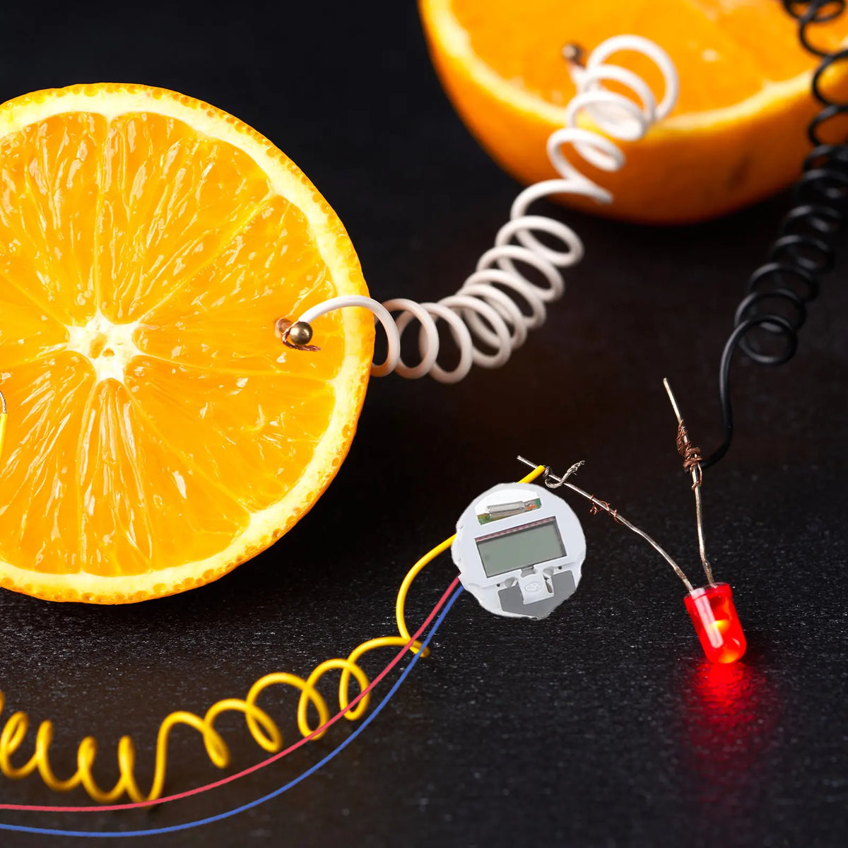 Fruit Battery Science Experiment Kit – DIY Physics for Kids Science Experiment Kit PLUSH