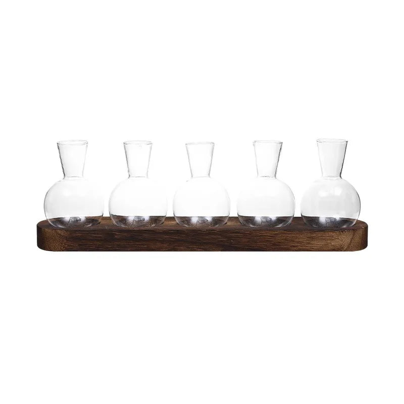 Modern Glass Plant Terrarium with Wooden Tray | Hydroponic Vase Glass Plant Terrarium PLUSH B