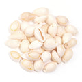 50g Natural Seashell Spacer Beads – Bohemian DIY Jewelry Shell Spacer Beads PLUSH white 1hole