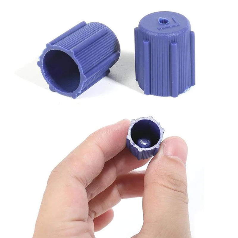 10Pcs Car AC Port Caps 13mm & 16mm High & Low Side Set AC Service Port Caps PLUSH