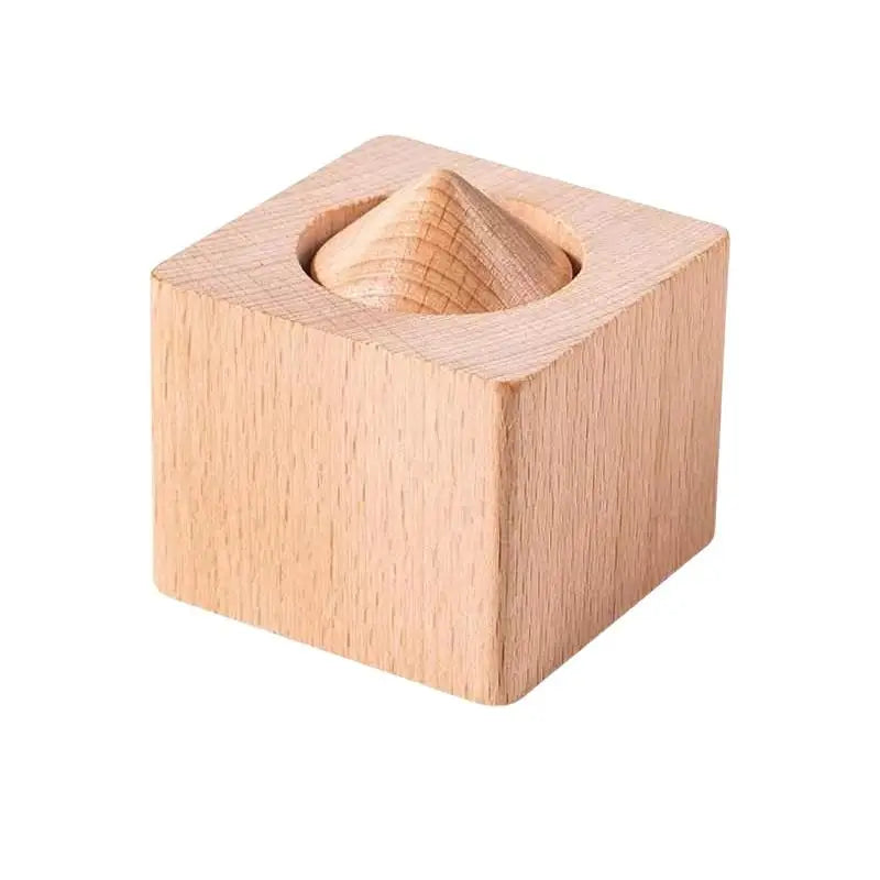 Wooden Montessori Puzzle Block – Educational Toy for Kids Wooden Puzzle Toy PLUSH