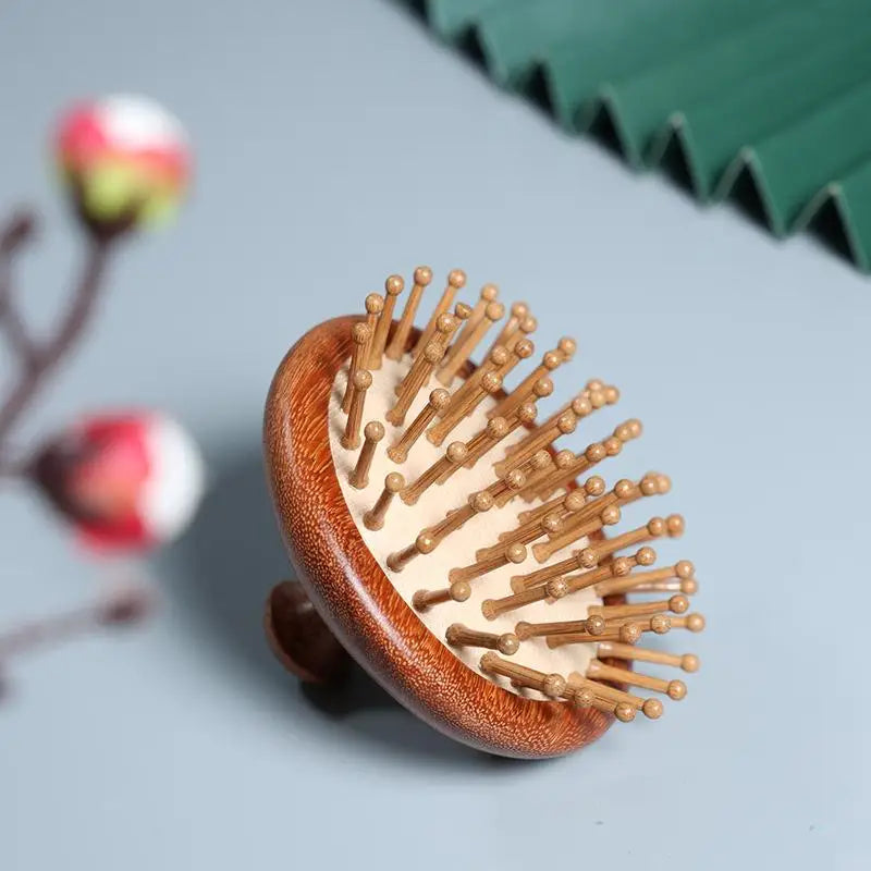 Wooden Scalp Massage Hair Brush – Air Cushion Hairbrush Scalp Massage Brush PLUSH