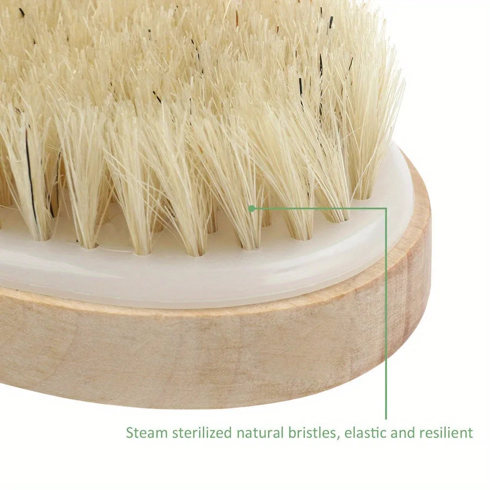 Natural Bristle Body Spa Brush – Wet & Dry Bath Massager Bath Spa Brush PLUSH