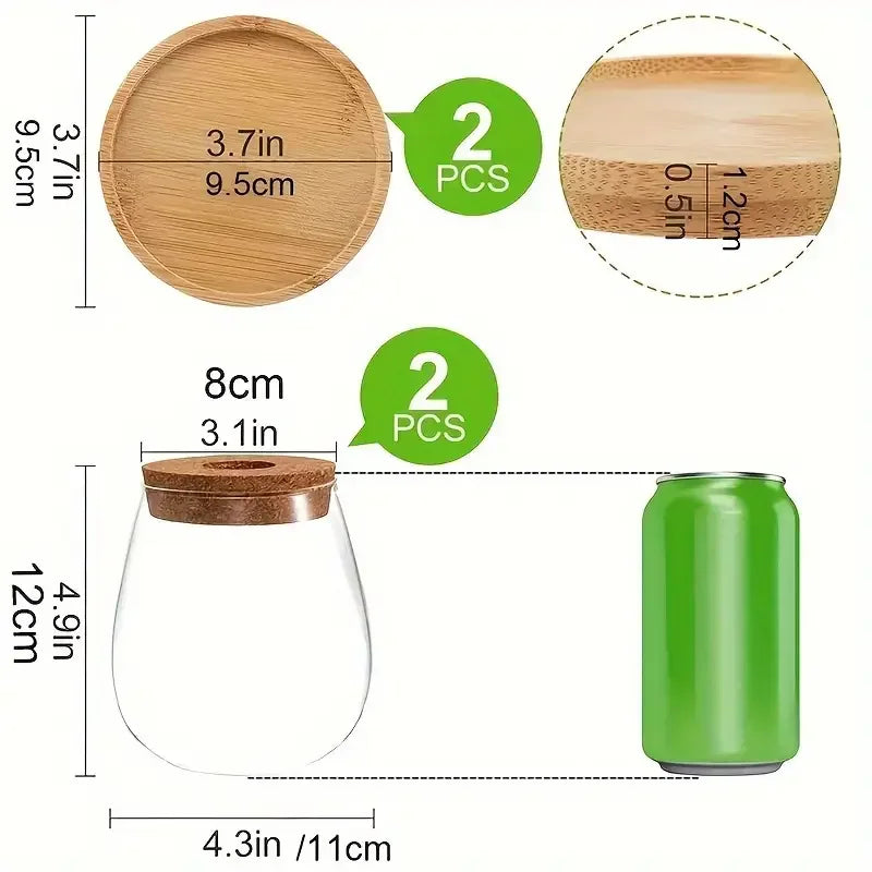 Hydroponic Glass Propagation Vase – Modern Indoor Planter Propagation Vase PLUSH