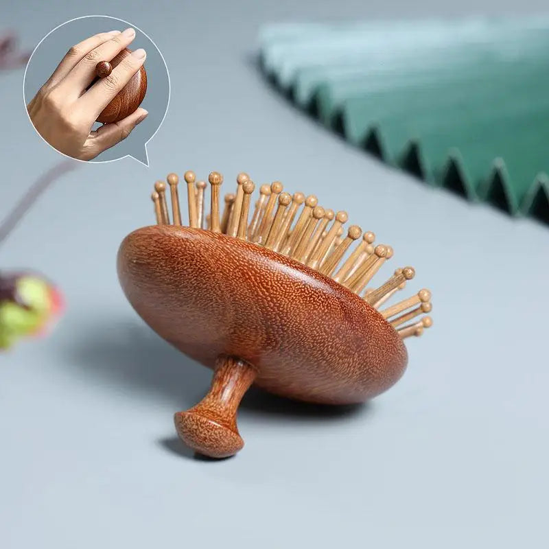 Wooden Scalp Massage Hair Brush – Air Cushion Hairbrush Scalp Massage Brush PLUSH