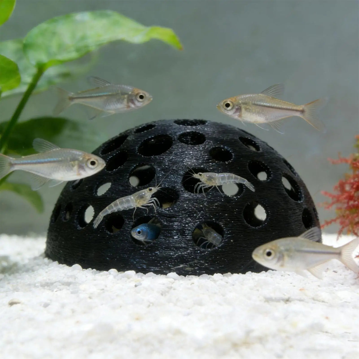 Resin Aquarium Shrimp Breeding Cave – Fish Hiding Shelter Aquarium Cave Decor PLUSH