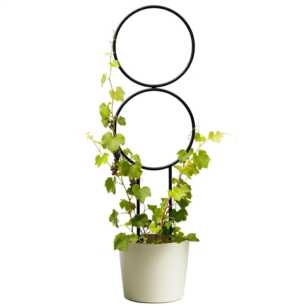 Metal Plant Trellis – Adjustable Support Stake Indoor & Outdoor Garden Plant Trellis PLUSH