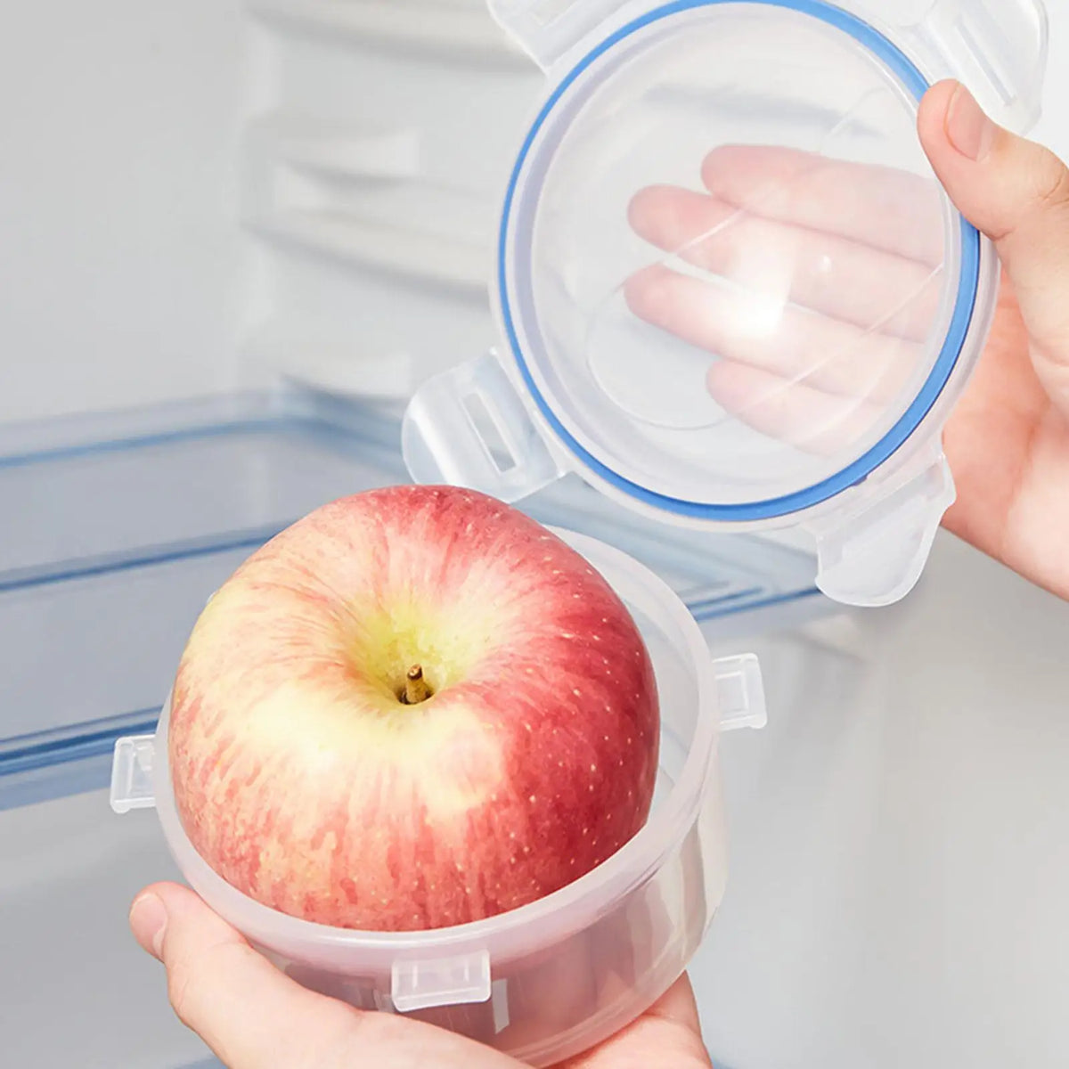 Reusable Fruit & Vegetable Storage Container with Lid | Fresh Keeper Food Storage Container PLUSH