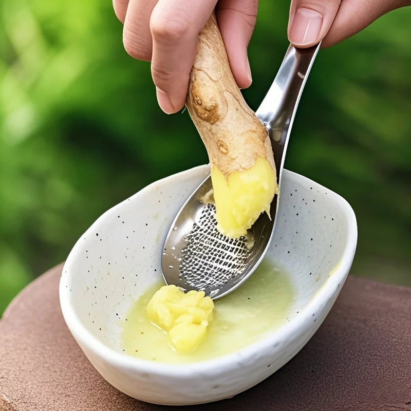 Stainless Steel Ginger & Garlic Crushing Spoon | Kitchen Tool Kitchen Crushing Spoon PLUSH