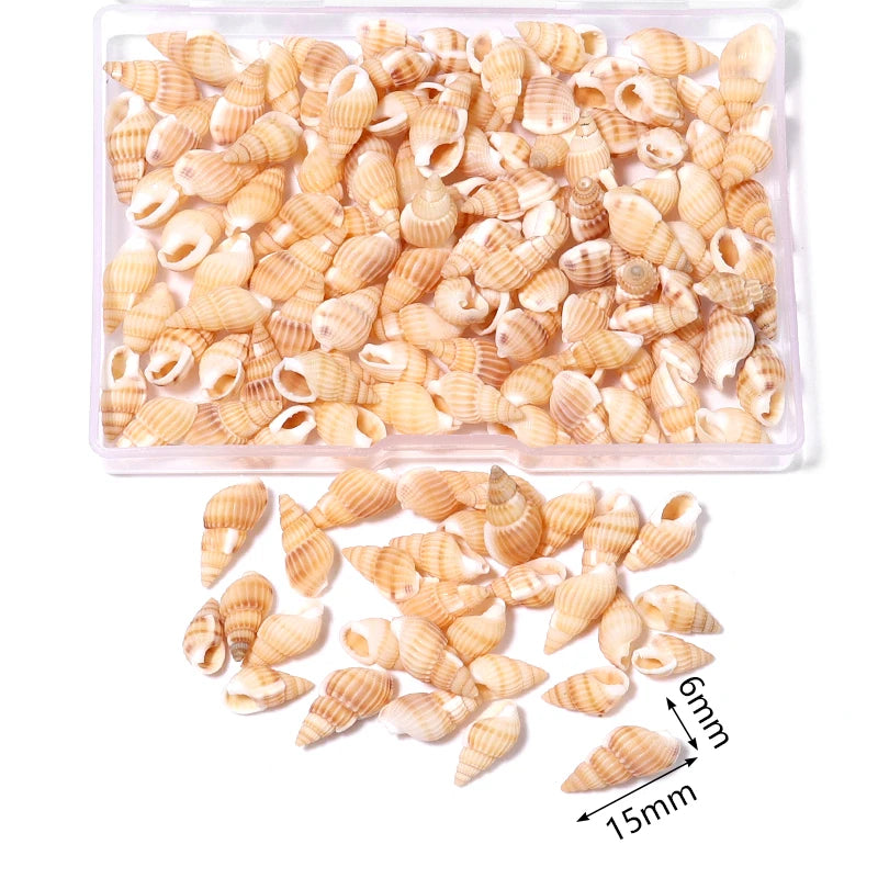 Natural Shell & Conch Beads Box – Ocean Beach DIY Jewelry Shell Craft Beads PLUSH