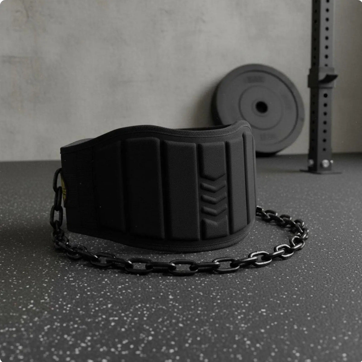 Weightlifting Dip Belt with Chain – Ergonomic EVA Padding Weightlifting Dip Belt PLUSH Black