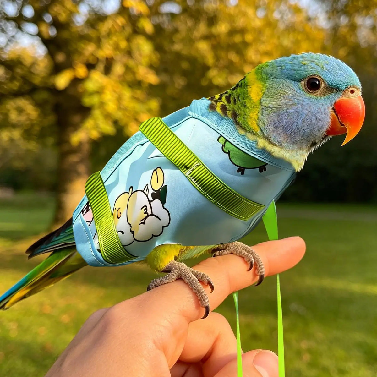 Portable Parrot Carrier Bag – Breathable Bird Travel Pouch Bird Travel Carrier PLUSH