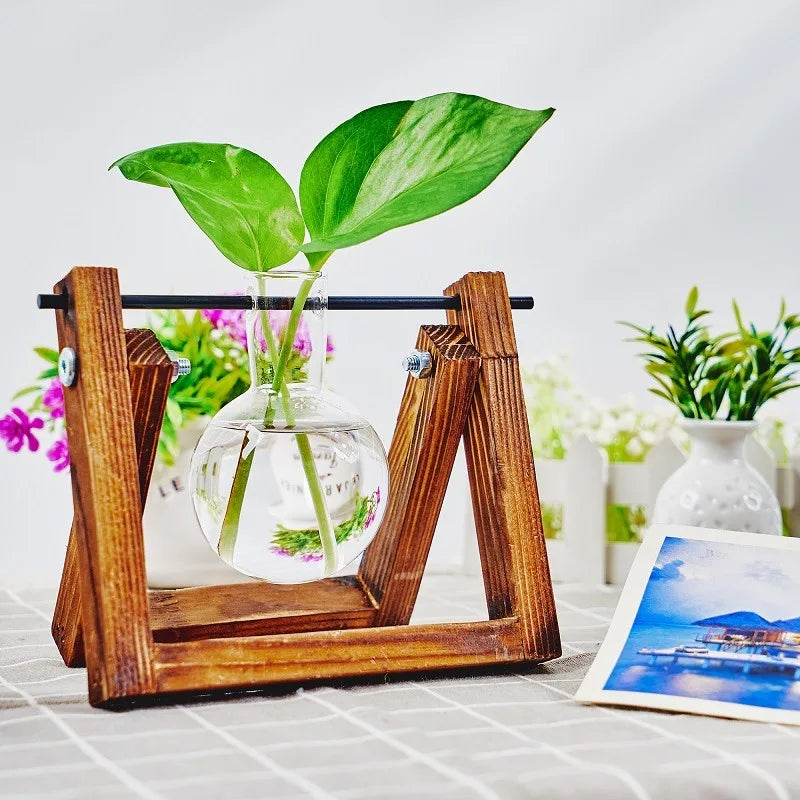 Glass Propagation Station in Wooden Rack | Hydroponic Vases Propagation Station PLUSH