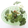 Strawberry Plant Support Stand – Waterproof PP Growing Rack Plant Support Rack PLUSH green