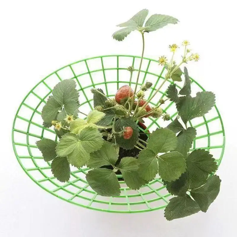 Strawberry Plant Support Stand – Waterproof PP Growing Rack Plant Support Rack PLUSH green