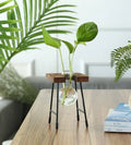 Wooden Frame Hydroponic Glass Bulb Vase – Modern Indoor Decor Hydroponic Glass Planter PLUSH BD-01