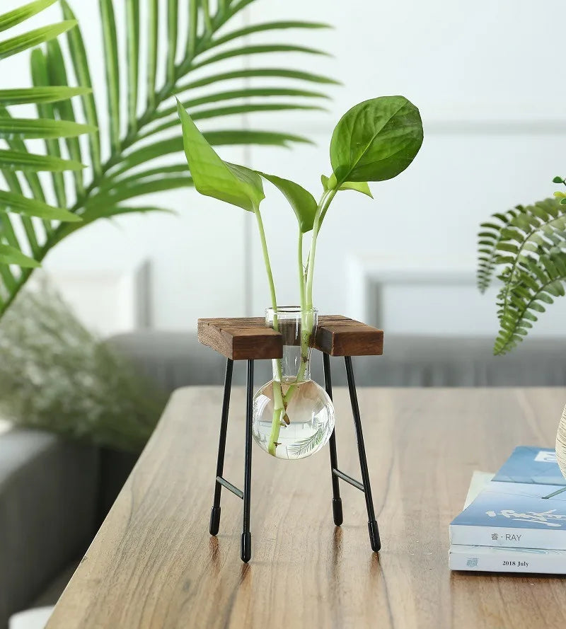 Wooden Frame Hydroponic Glass Bulb Vase – Modern Indoor Decor Hydroponic Glass Planter PLUSH BD-01