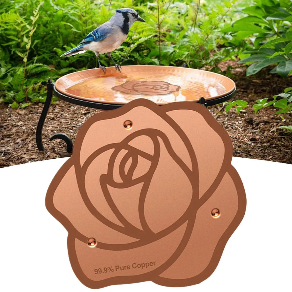 Copper Bird Bath Purification Disc – Triple-Point Support Bird Bath Disc PLUSH