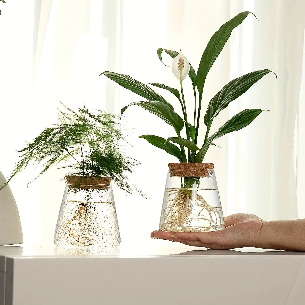 Nordic Glass Hydroponic Vase with Tray – Mini Tabletop Planter Hydroponic Glass Vase PLUSH