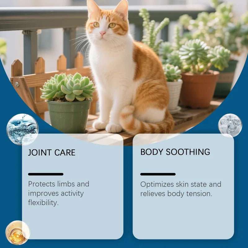 Pet Joint Care Drops – Daily Flexibility Support for Dogs & Cats Pet Joint Drops PLUSH