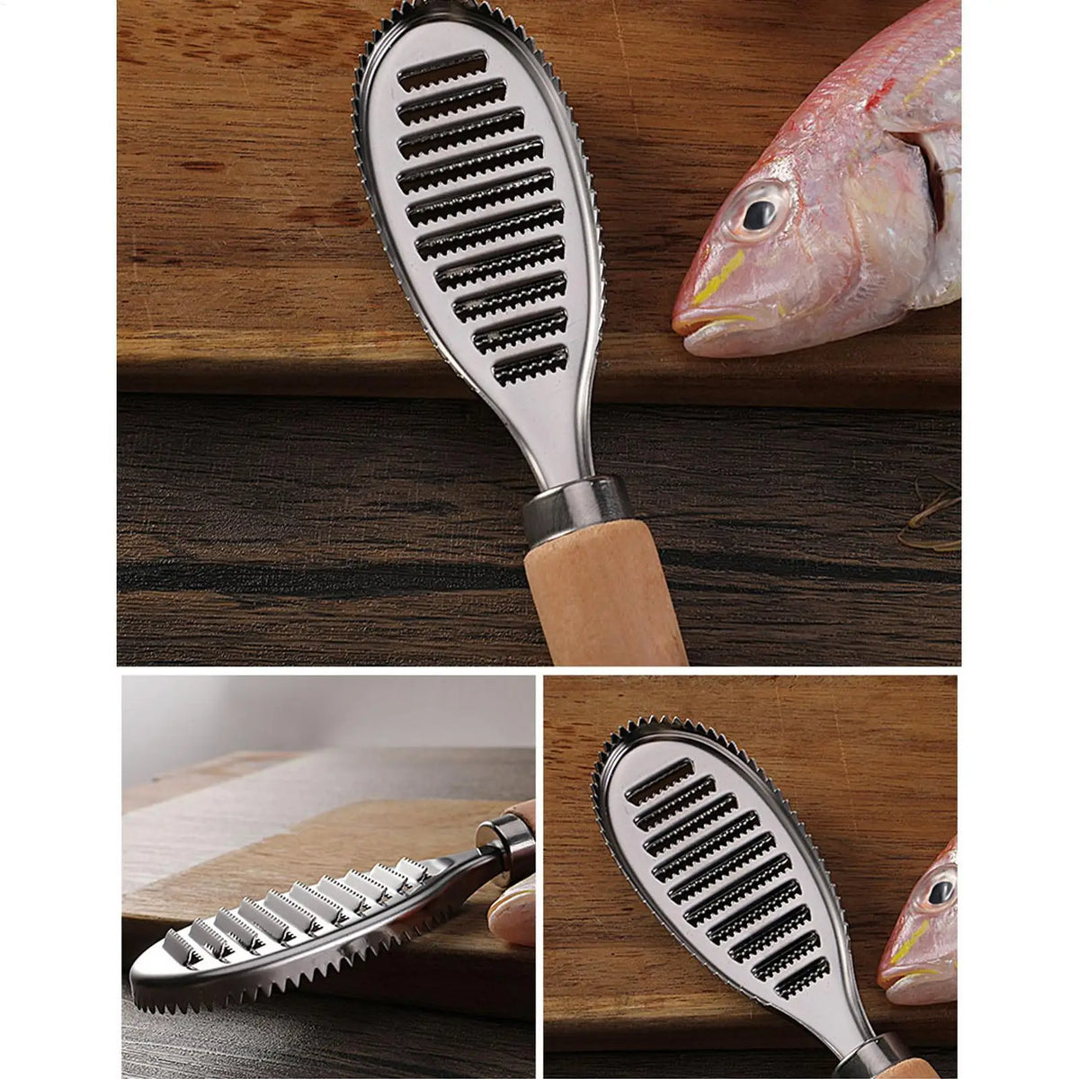 Stainless Steel Fish Scale Remover Scraper Tool | 21cm Fish Scaler Tool PLUSH