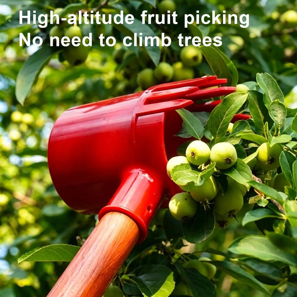 Portable Berry Picker Tool – Gentle Comb Fruit Harvester Fruit Harvesting Tool PLUSH