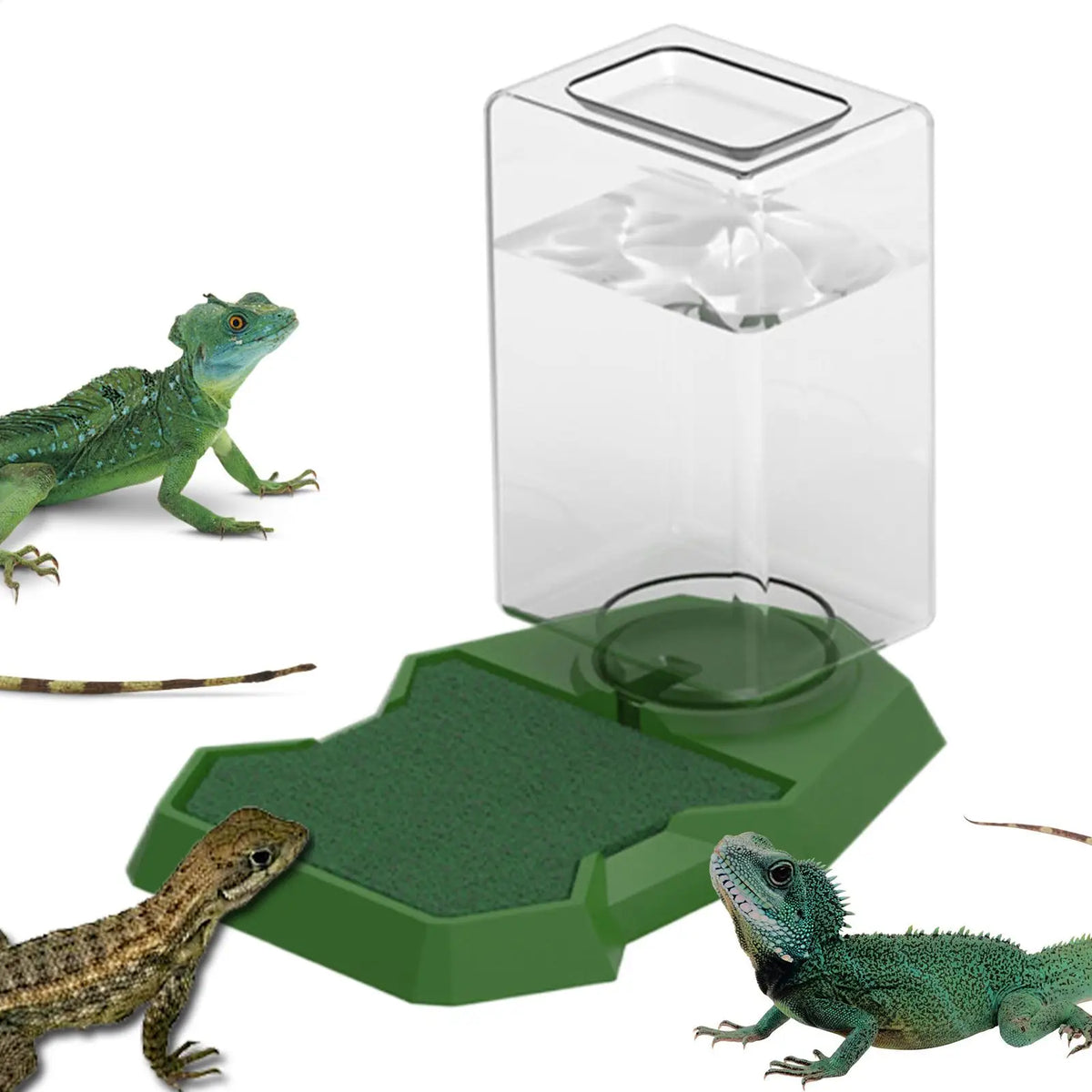 Reptile Water Dispenser Anti-Slip Dish Bowl – Large Capacity Reptile Water Dispenser PLUSH