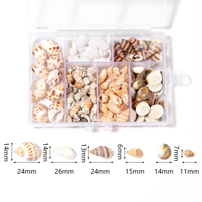 Natural Shell & Conch Beads Box – Ocean Beach DIY Jewelry Shell Craft Beads PLUSH