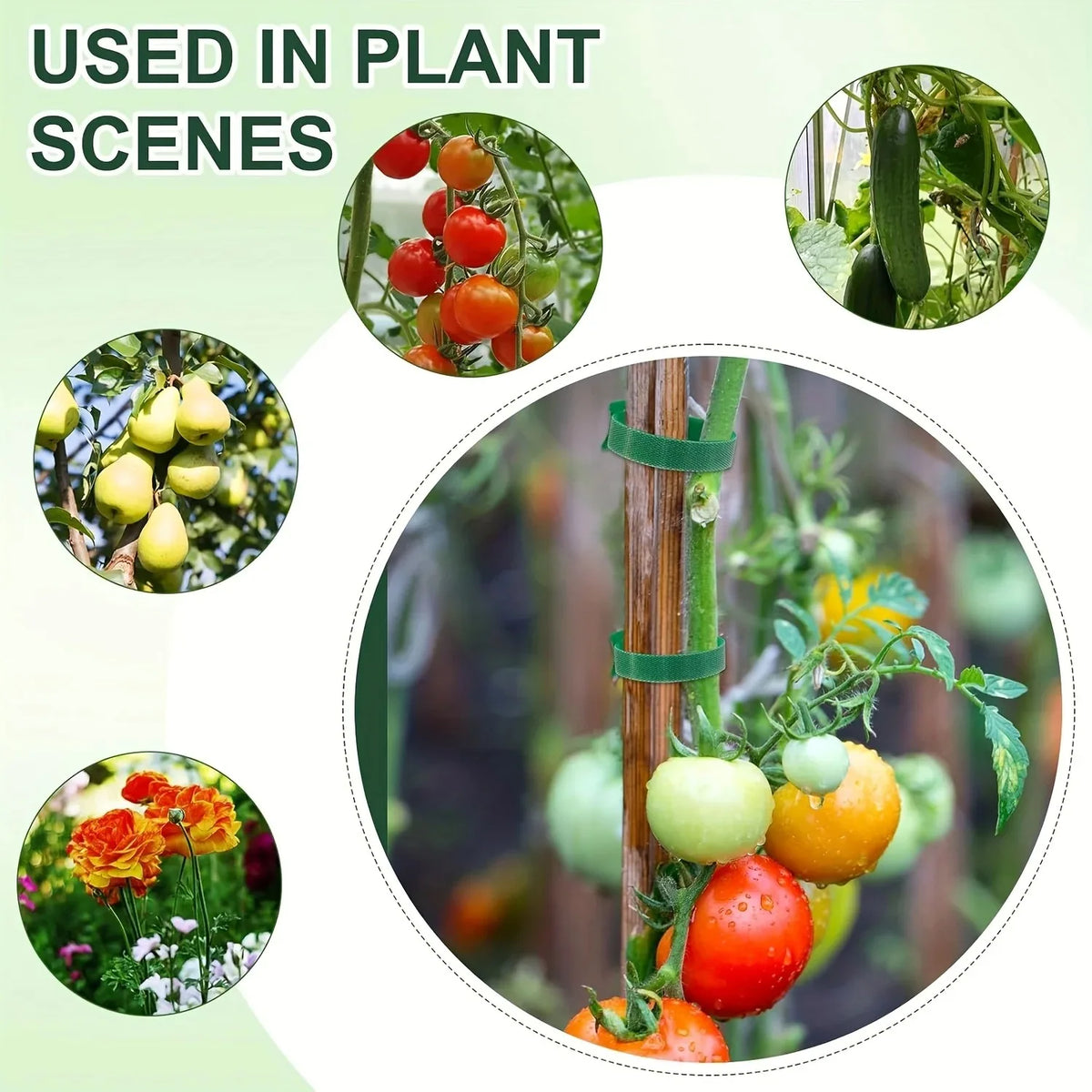 Adjustable Nylon Plant Ties – Reusable Velcro Loop Fasteners Garden Plant Ties PLUSH