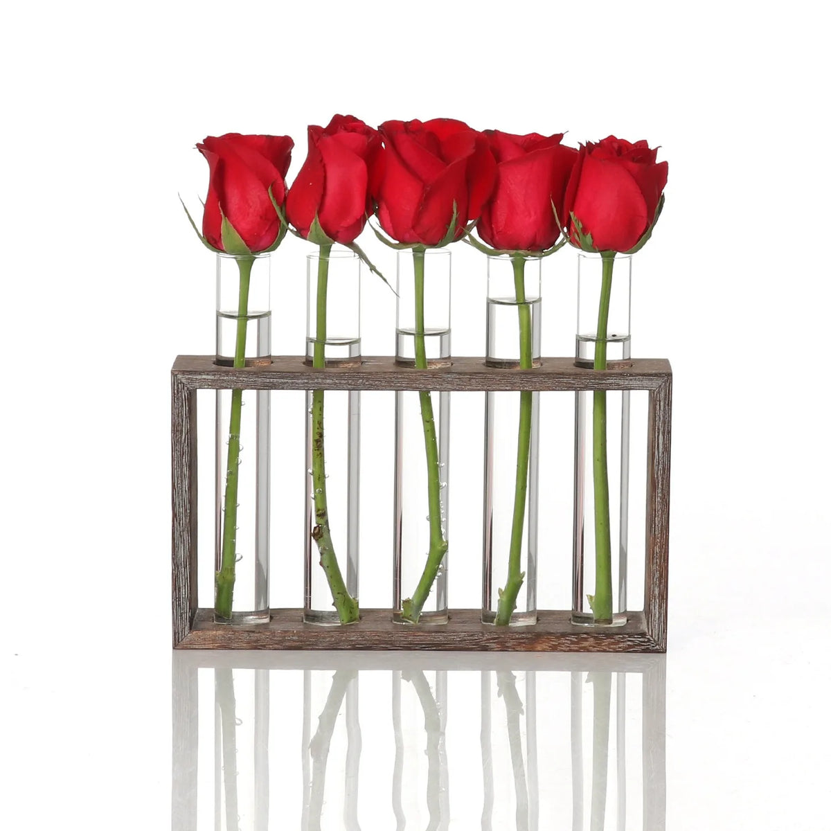 Hydroponic Test Tube Vase Set – Glass Planter Home Decor Glass Planter Vase PLUSH