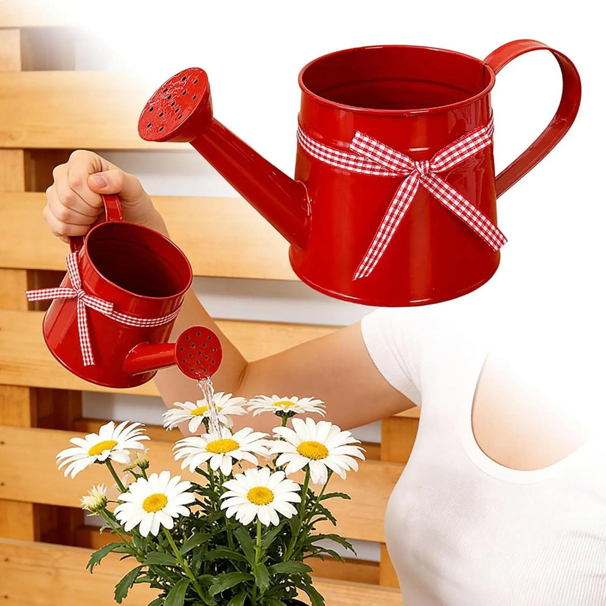 Mini Metal Watering Can – Decorative Indoor Plant Sprinkler Garden Watering Can PLUSH