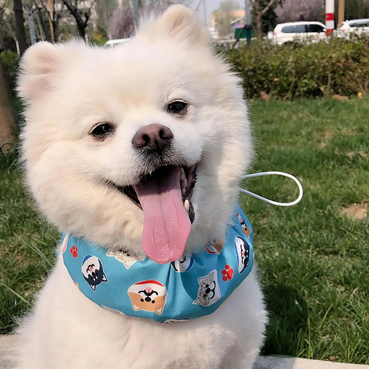 Pet Cooling Bandana & Ice Collar for Dogs & Cats – Breathable Pet Cooling Bandana PLUSH