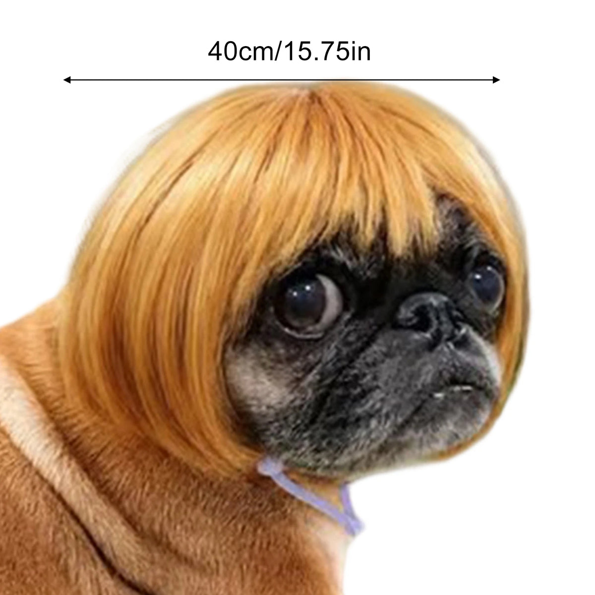 Funny Pet Wig for Dogs & Cats – DIY Halloween Costume Wig Pet Costume Wig PLUSH Gold