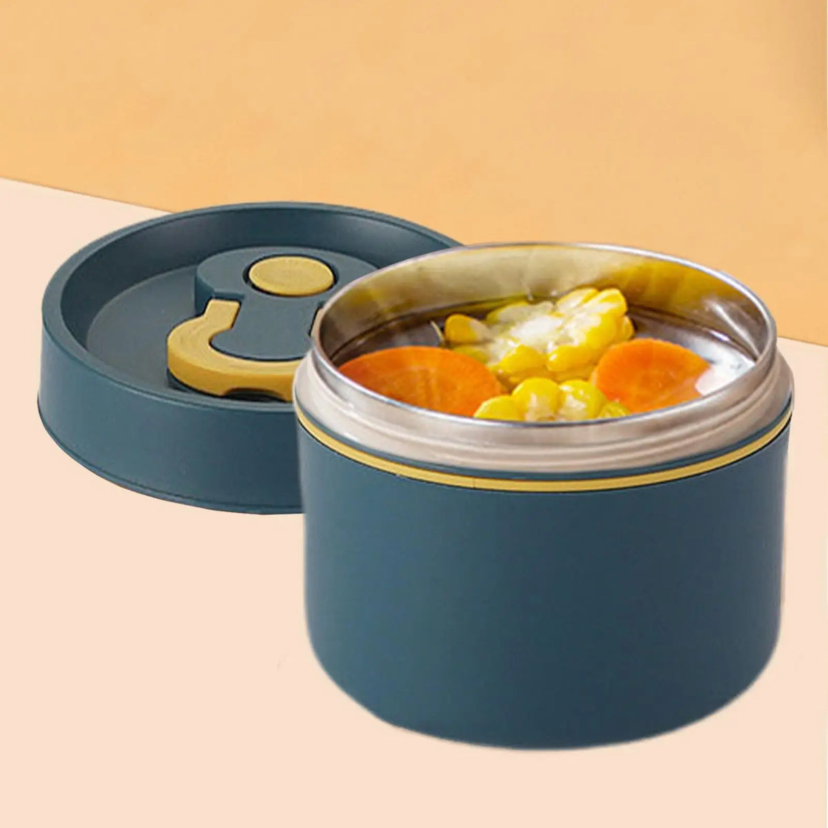 2-Tier Stainless Steel Insulated Bento Lunch Box 650ml Insulated Lunch Box PLUSH