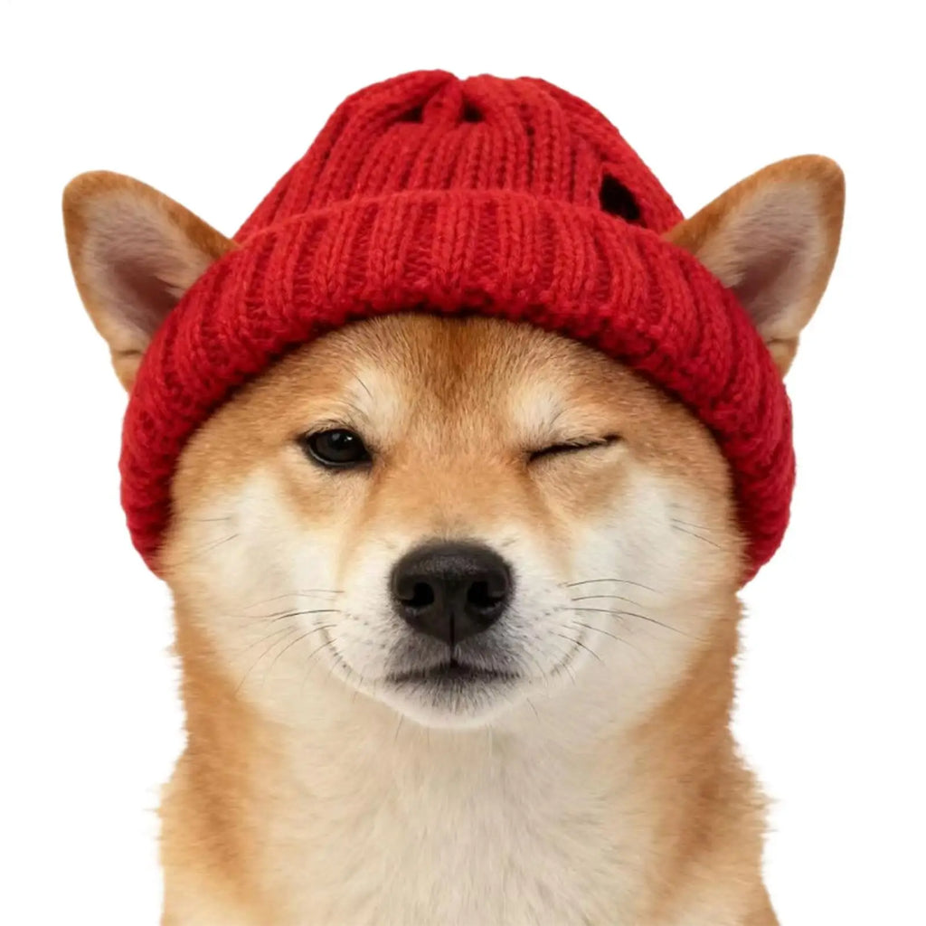 Red Knitted Dog Beanie Hat with Ear Holes | Festive Winter Pet Hat Pet Winter Hat PLUSH
