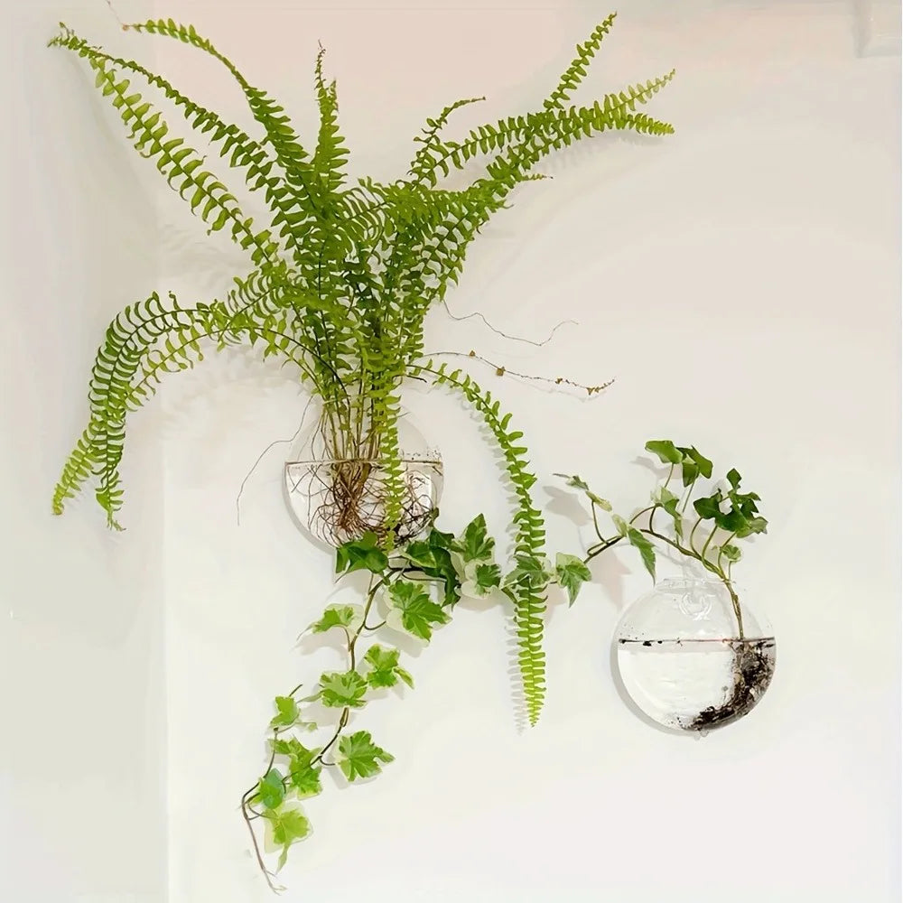 Wall Hanging Glass Terrarium – Hydroponic Planter Vase 2/4/6 Pack Wall Hanging Terrarium PLUSH