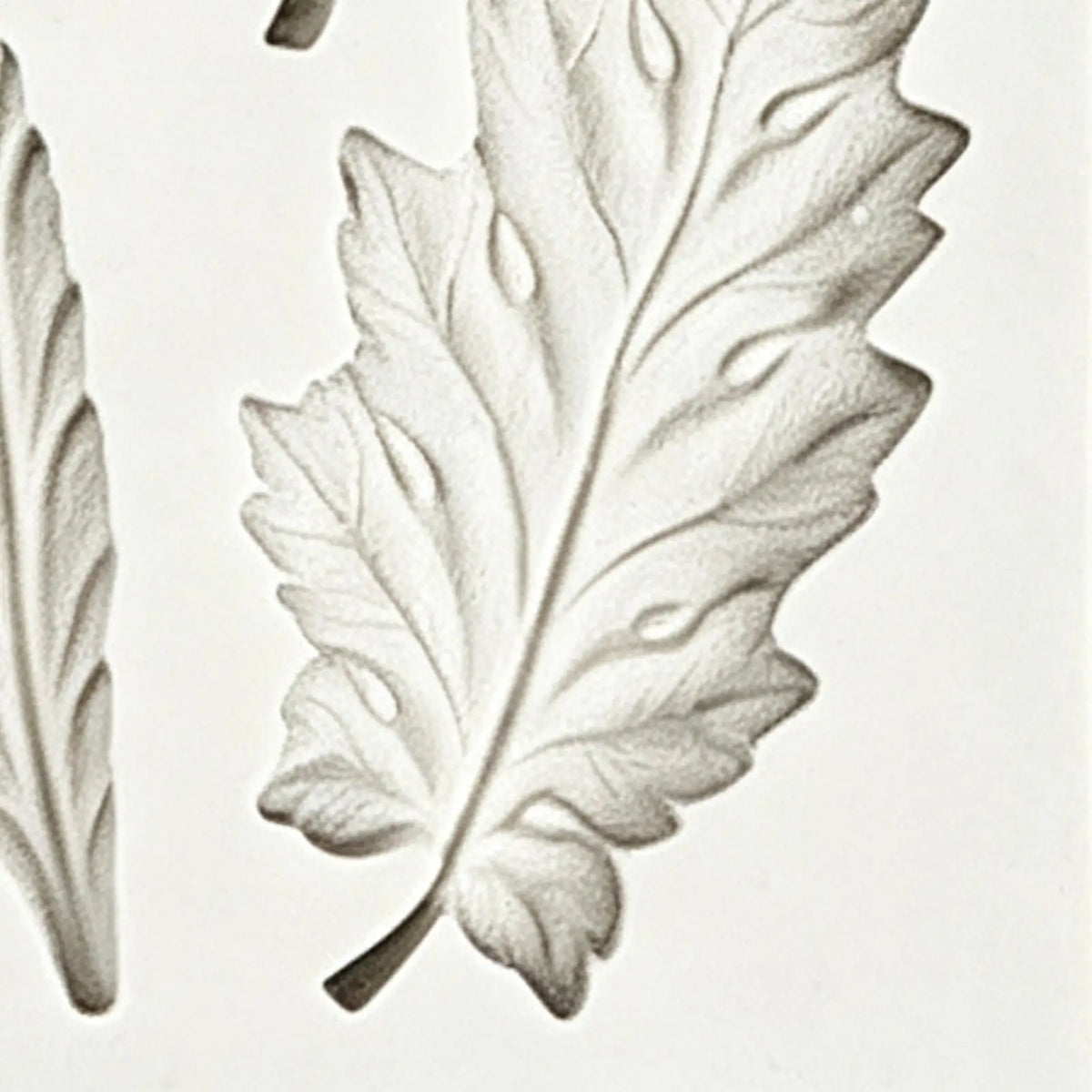 Leaves Silicone Mold for Fondant, Chocolate & Cake Decorating Silicone Baking Mold PLUSH
