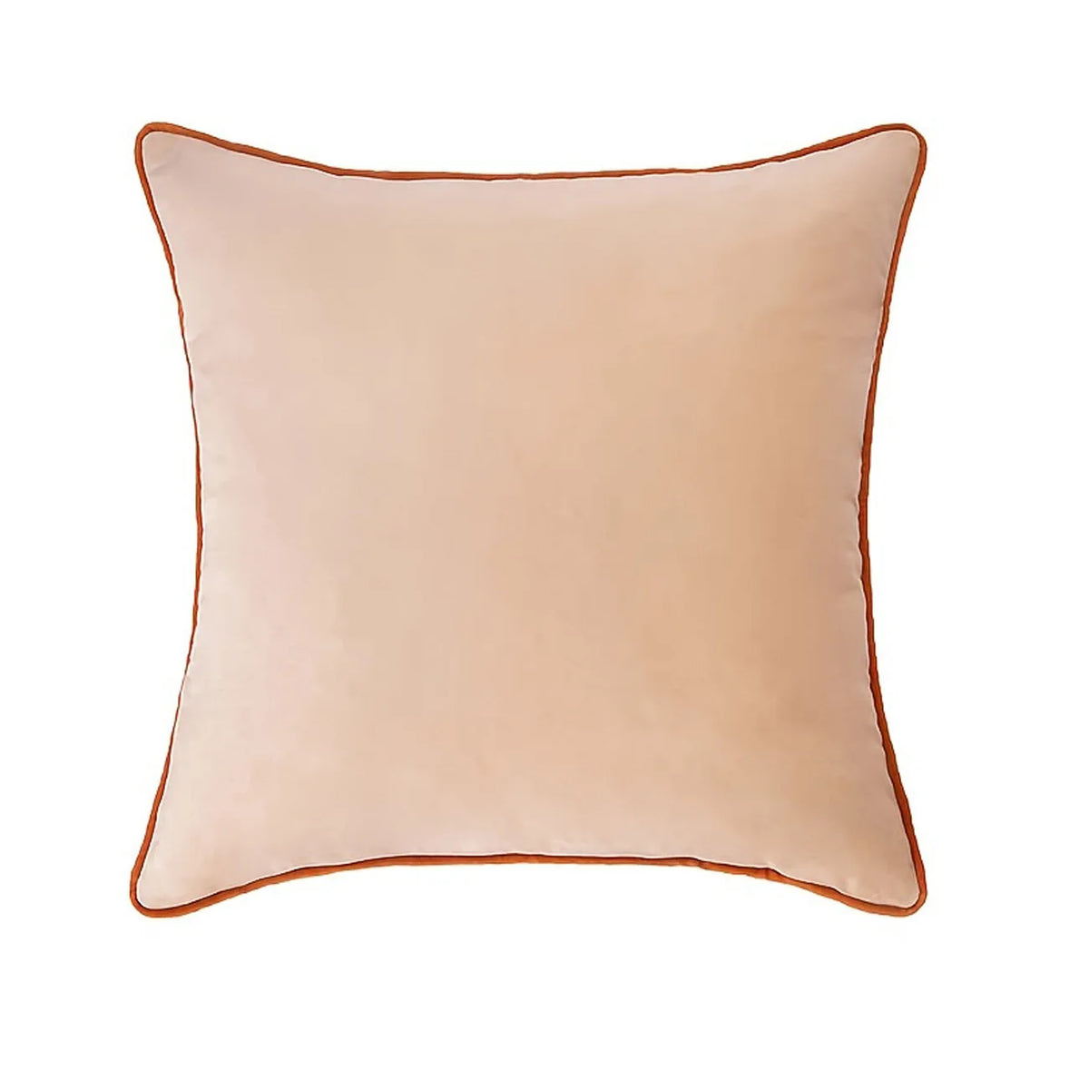 45x45cm Soft Velvet Throw Pillow Cover – Double Sided Design Throw Pillow Cover PLUSH Beige 45.72cmX45.72cm