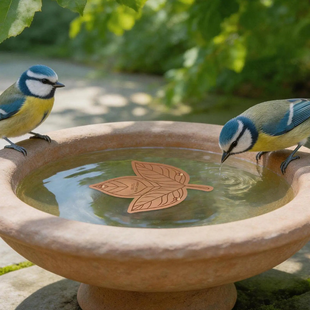 Copper Bird Bath Purifier Disk – Triple-Point Support Bird Bath Accessory PLUSH