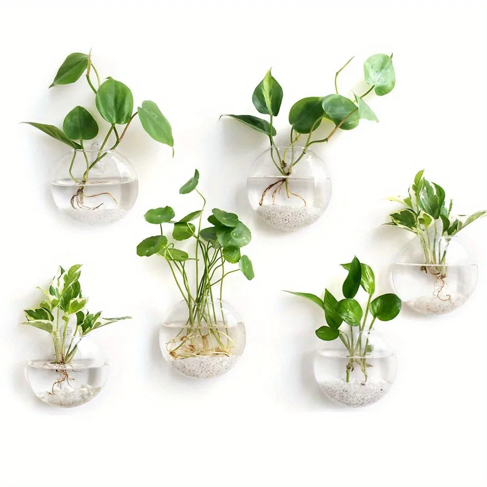 Semi-Circle Wall Vase | Glass Hydroponic Planter & Terrarium Wall Hanging Vase PLUSH
