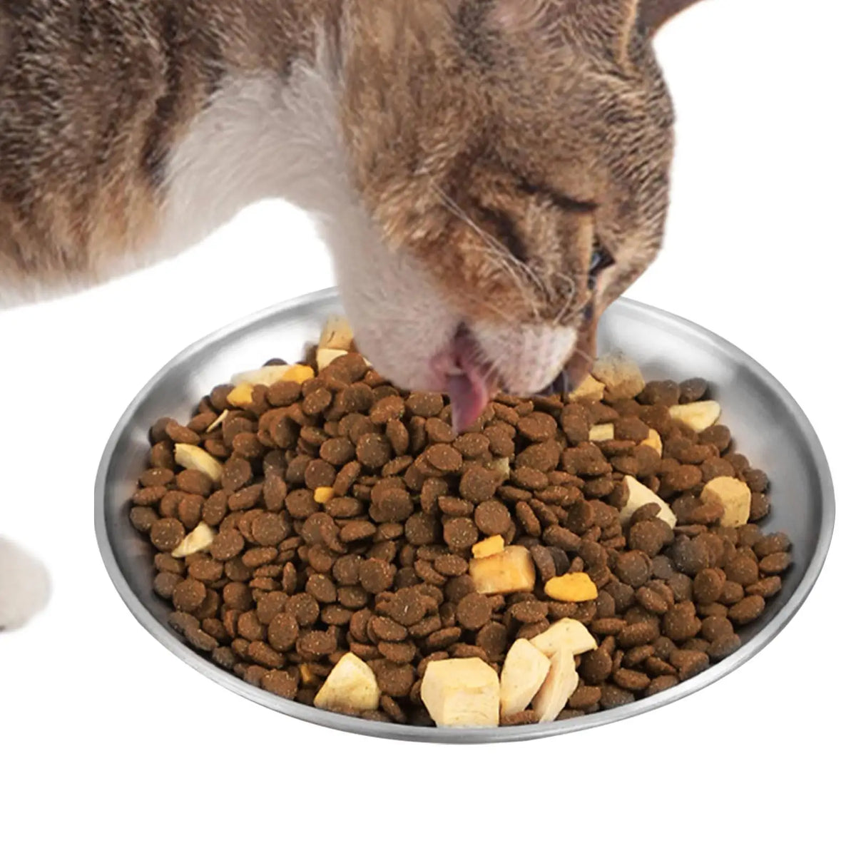 Stainless Steel Shallow Cat Bowl – Wide Non-Slip Pet Feeder Pet Feeder Bowl PLUSH
