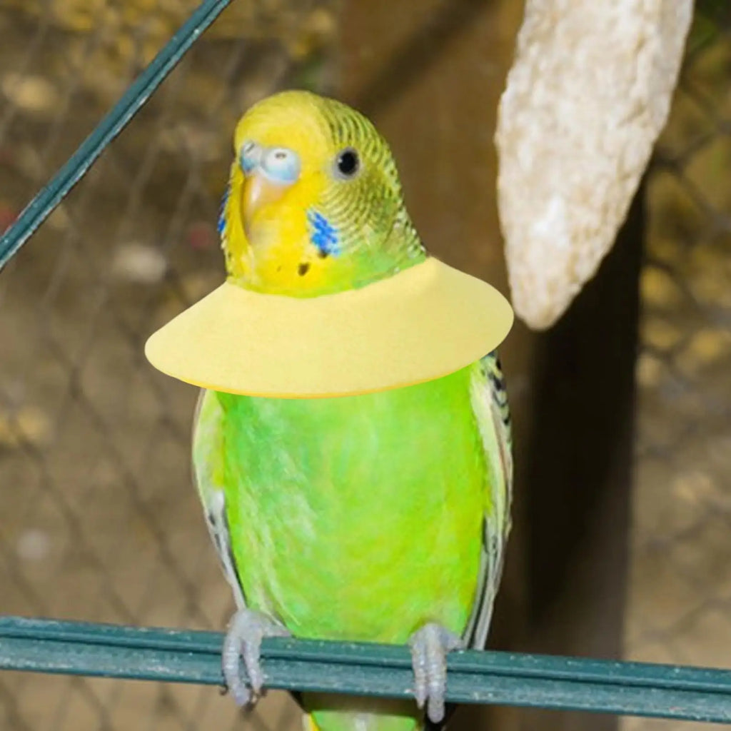Parrot Recovery Collar – Anti-Plucking Bird Neck Sleeve Bird Recovery Collar PLUSH