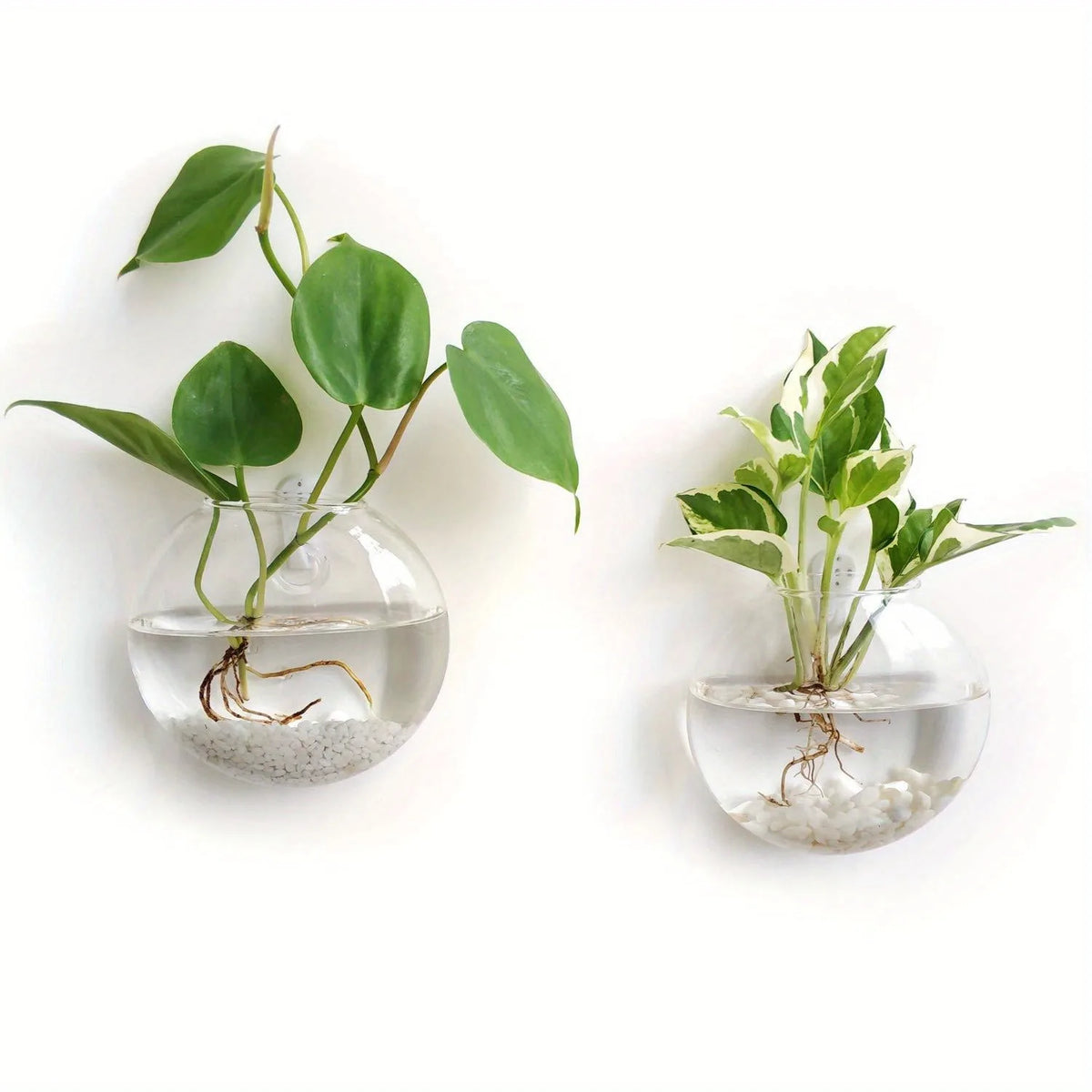 Wall Hanging Glass Terrarium – Hydroponic Planter Vase 2/4/6 Pack Wall Hanging Terrarium PLUSH 2PCS