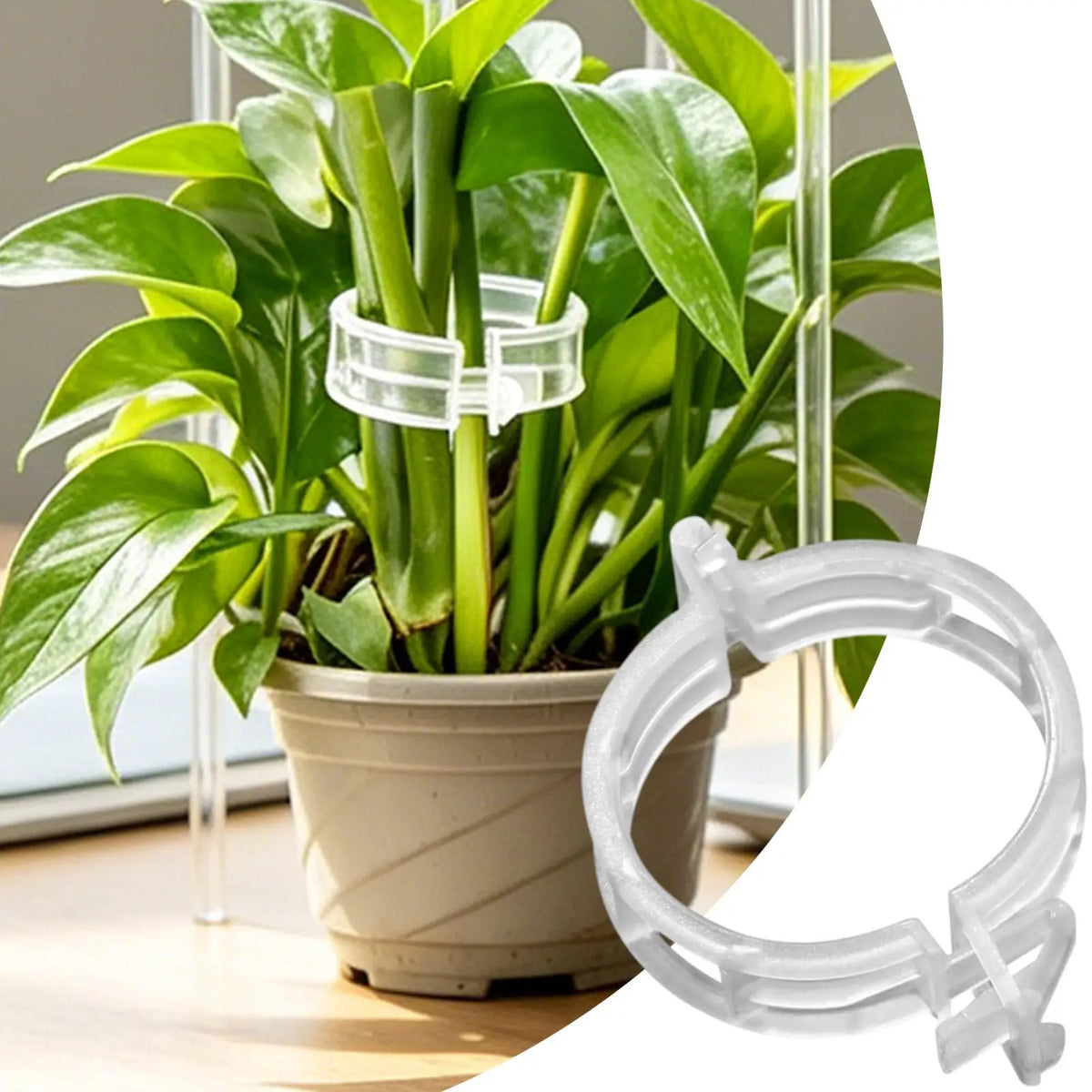 100pcs Plant Support Clips – Trellis Stake Clips for Garden Garden Support Clips PLUSH