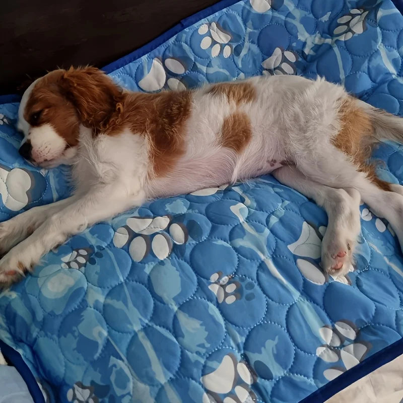 Thickened Large Dog Ice Cooling Mat – Pet Bed Mat Dog Cooling Mat PLUSH