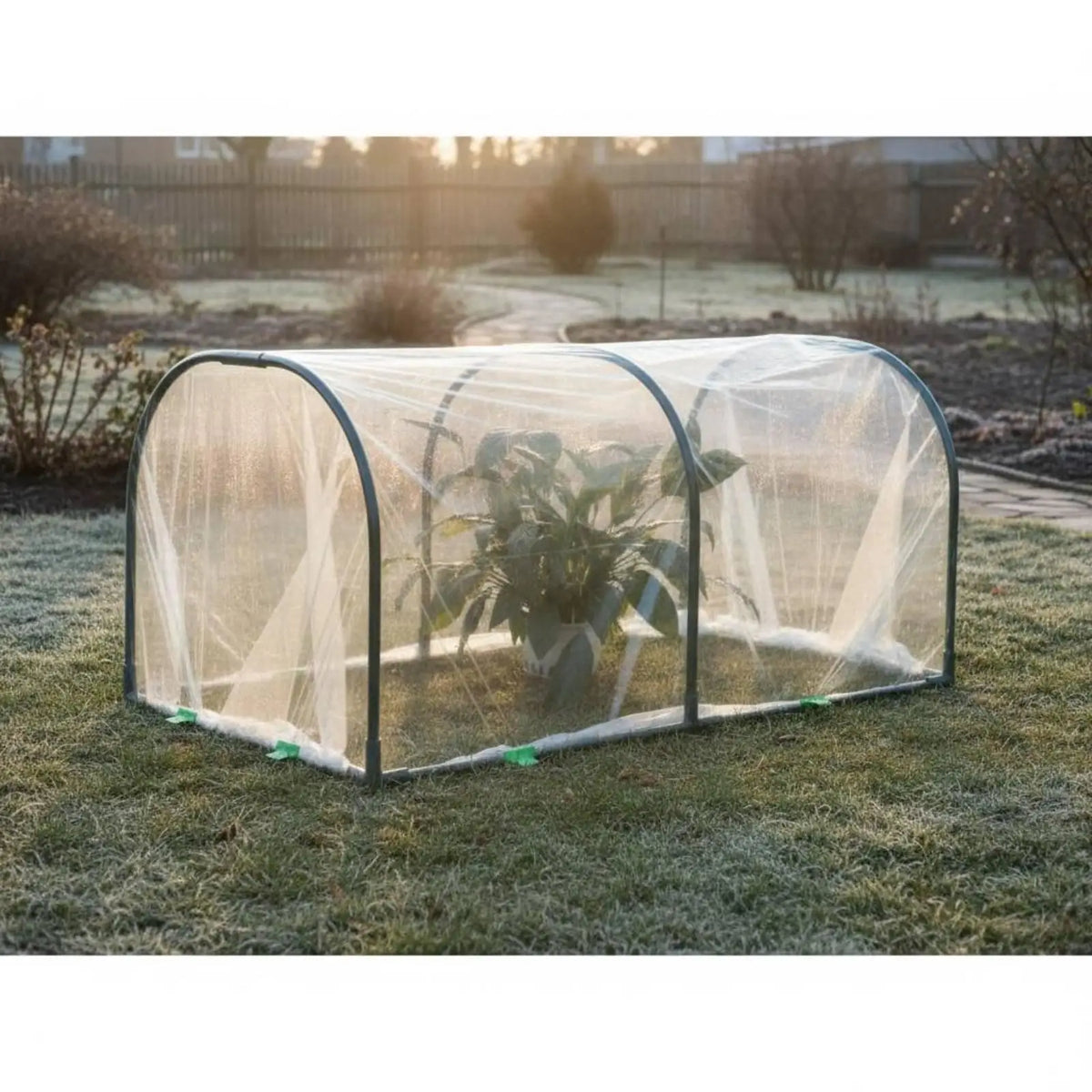 Tunnel Mini Greenhouse Iron Frame | Balcony Plant Shelter Mini Greenhouse Tunnel PLUSH