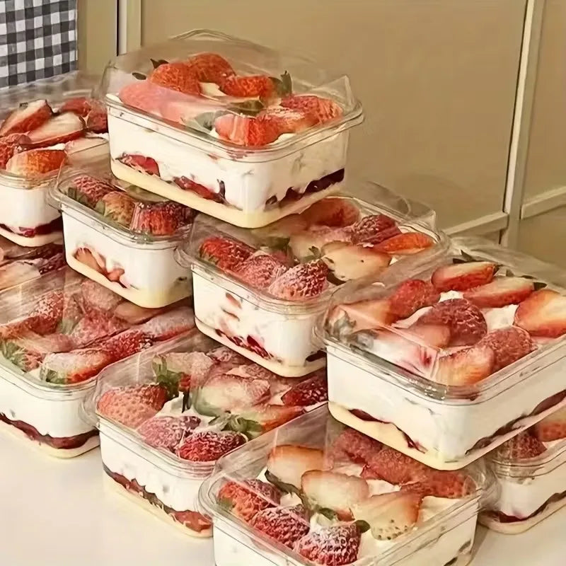 Transparent Disposable Cake Boxes with Lid – 5/15/25pcs Disposable Cake Box PLUSH