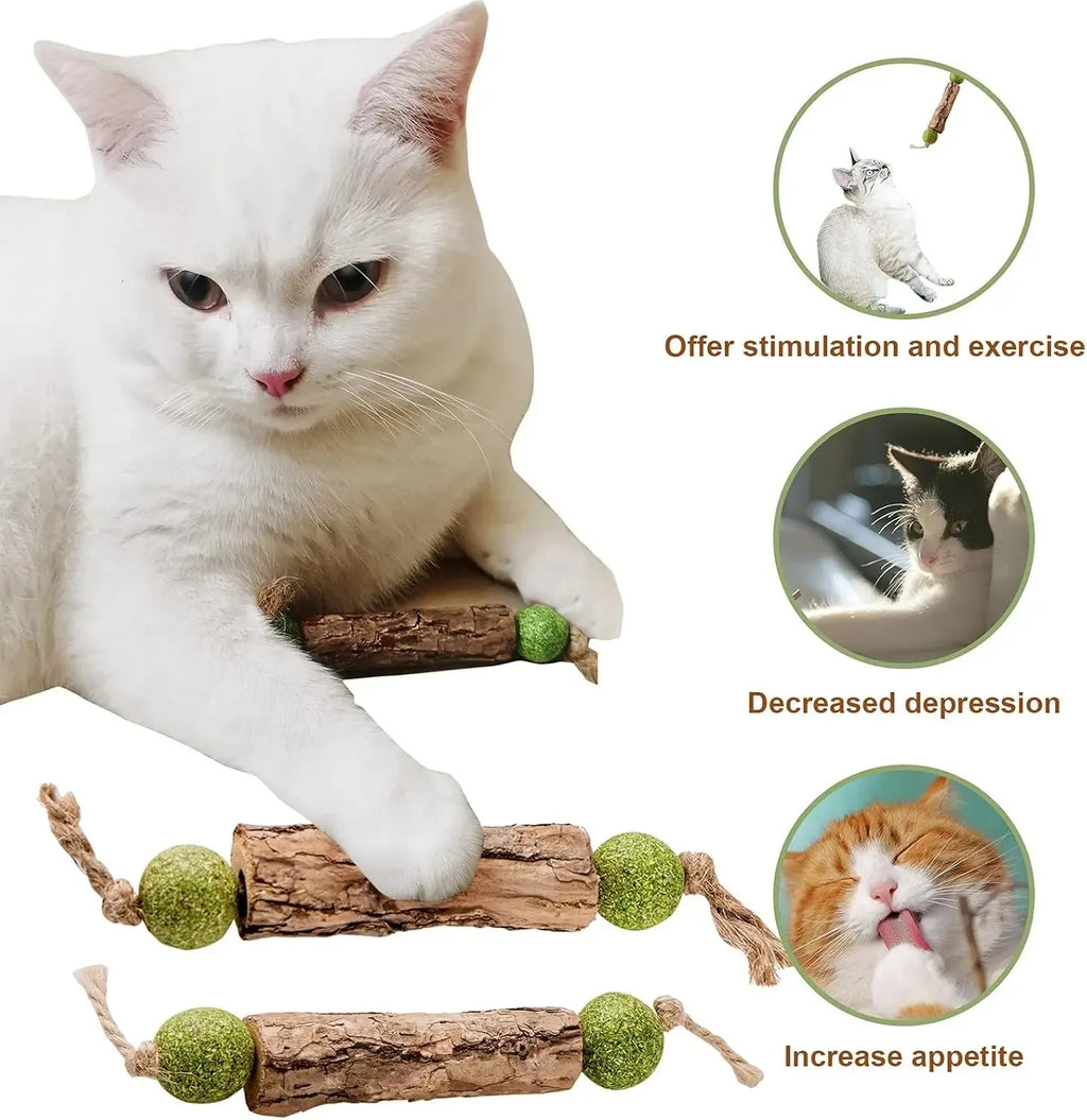 Natural Catnip Molar Stick – Cat Dental Chew Toy & Snack Cat Chew Toy PLUSH